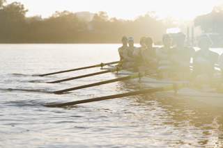 Brisbane River Rowing Regatta